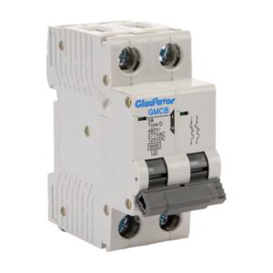 GLADIATOR GMCB-2D-1 Miniature Supplementary Protector, 1A, 480Y/ 277 VAC/ 125 VDC, 2-Pole, D Curve | CV7VZU