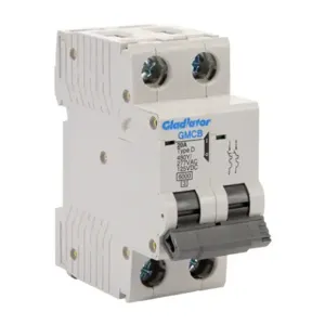 GLADIATOR GMCB-2D-20 Miniature Supplementary Protector, 20A, 480Y/ 277 VAC/ 125 VDC, 2-Pole, D Curve | CV7VZZ