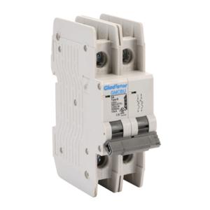 GLADIATOR GMCBU-2B-1 Miniature Circuit Breaker, 1A, 480Y/ 277 VAC/ 125 VDC, 2-Pole, B Curve, Thermal Magnetic | CV7FFH