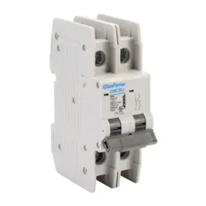 GLADIATOR GMCBU-2B-15 Miniature Circuit Breaker, 15A, 480Y/ 277 VAC/ 125 VDC, 2-Pole, B Curve, Thermal Magnetic | CV7FFK