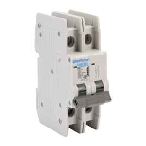 GLADIATOR GMCBU-2B-20 Miniature Circuit Breaker, 20A, 480Y/ 277 VAC/ 125 VDC, 2-Pole, B Curve, Thermal Magnetic | CV7FFN