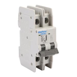 GLADIATOR GMCBU-2B-8 Miniature Circuit Breaker, 8A, 480Y/ 277 VAC/ 125 VDC, 2-Pole, B Curve, Thermal Magnetic | CV7FGA