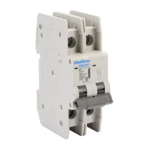 GLADIATOR GMCBU-2D-2 Miniature Circuit Breaker, 2A, 480Y/ 277 VAC/ 125 VDC, 2-Pole, D Curve, Thermal Magnetic | CV7FGZ