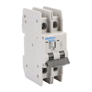 GLADIATOR GMCBU-2D-30 Miniature Circuit Breaker, 30A, 240 VAC/ 125 VDC, 2-Pole, D Curve, Thermal Magnetic | CV7FHD