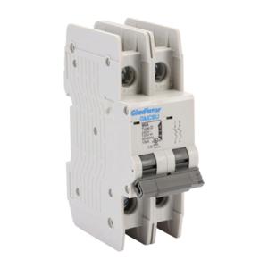 GLADIATOR GMCBU-2D-40 Miniature Circuit Breaker, 40A, 240 VAC/ 125 VDC, 2-Pole, D Curve, Thermal Magnetic | CV7FHG