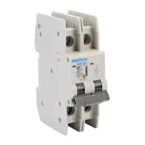 GLADIATOR GMCBU-2D-63 Miniature Circuit Breaker, 63A, 240 VAC/ 125 VDC, 2-Pole, D Curve, Thermal Magnetic | CV7FHL