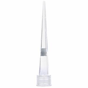 GLOBE SCIENTIFIC 150900 Filterpipettenspitze, Filterspitze, Polypropylen, 0.1 bis 10 µL, natur, 1920 PK | CP6MYM 784JM9