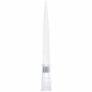 GLOBE SCIENTIFIC 150920 Filter Pipette Tip, Filter Tip, Polypropylene, 1 to 200 uL, 1920 PK | CP6MYQ 784JN3