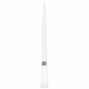 GLOBE SCIENTIFIC 150938 Filter Pipette Tip, Filter Tip, Polypropylene, 1 to 1000 uL, 1920 PK | CP6MYN 784JN6