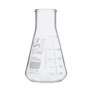 GLOBE SCIENTIFIC 8410250 Erlenmeyer Flask, 250 Ml Labware Capacity - Metric, 12 PK | CP6MMH 793W02