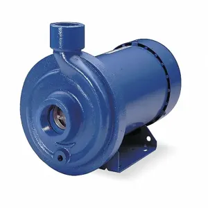 GOULDS WATER TECHNOLOGY 100MC1G5A0 Straight Center Discharge Pump, 2 hp, 3 Phase, 75 Psi Max. Pressure | CH6HMF 52XG21