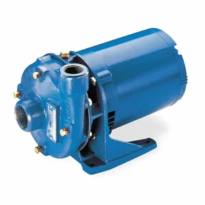 GOULDS WATER TECHNOLOGY 2BF82034 240 to 480 VAC Totally Enclosed Fan-Cooled Centrifugal Pump, 3-Phase | CD2LKM 52TW76