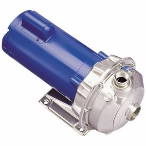 GOULDS WATER TECHNOLOGY 2ST1F9H4 Kreiselpumpe, 1 1/2 PS, 208–230/460 VAC, 119 Fuß | CP6PPW 784RN3