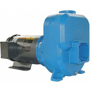 GOULDS WATER TECHNOLOGY 30SPM70 3-HP Self Priming Centrifugal Pump, 105 ft. Max. Head, Cast Iron | CD2MYB 429J01