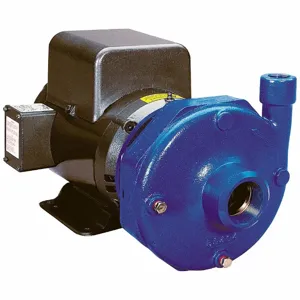 GOULDS WATER TECHNOLOGY 3BF1H9B0H Centrifugal Pump, 3 hp, 208-230/460VAC, 125 ft | CP6PNH 49UU50