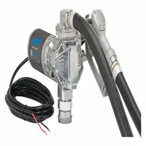 GPIMETERS 162000-02 Fuel Transfer Pump, 20 gpm, 12V DC, 3/8 hp | CH6HEQ 56LU63