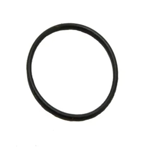 GPIMETERS 901003-12 O-Ring, Union Fitting, 1/2 Inch Size, Pack of 2 | CD8RQK