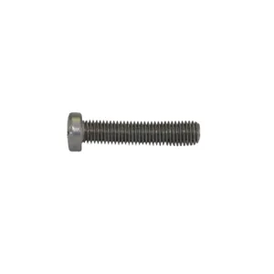 GPIMETERS 904004-12 Screw, Pack Of 4 | CD8RRB