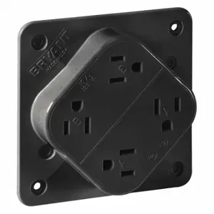 GRAINGER 1254BLK Receptacle, Quad, 5-15R, 15 A, 125V AC, Black, 2 Poles, Screw Terminals | CP8XYF 52HC35