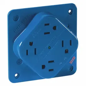 GRAINGER 1254SA Receptacle, Quad, 5-15R, 15 A, 125V AC, Blue, 2 Poles, Screw Terminals, Std Resist | CP8XWX 52HC41