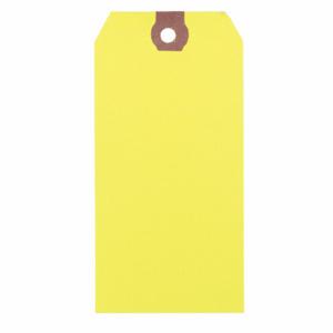 GRAINGER 1GYZ8 Blank Shipping Tag, #2, 3 1/4 Inch Tag Height, 1 5/8 Inch Tag Width, 13 Points | CR3BXY