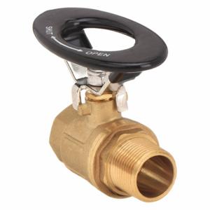 GRAINGER 1WMR7 Ball Valve, 3/4 Inch Pipe, 600 PSI CWP, -40-400 Deg F, Oval Handle, SAE | CQ2LLV