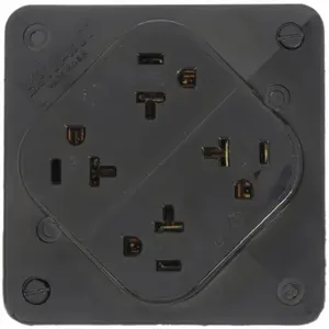 GRAINGER 21254BLK Receptacle, Quad, 5-20R, 20 A, 125V AC, Black, 2 Poles, Screw Terminals | CP8XXD 52HC45