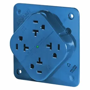 GRAINGER 21254SA Receptacle, Quad, 5-20R, 20 A, 125V AC, Blue, 2 Poles, Screw Terminals, Std Resist | CP8XXE 52HC50