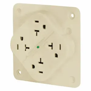 GRAINGER 21254SiA Receptacle, Quad, 5-20R, 20 A, 125V AC, Ivory, 2 Poles, Screw Terminals, Std Resist | CP8XXH 52HC51