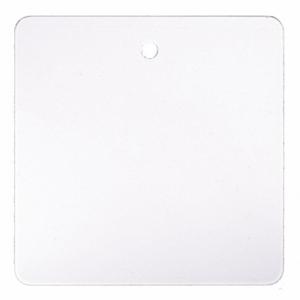 GRAINGER 22CM93 Tag, 2 Inch Width, 2 Inch Height, White, Square, Plastic, 10 PK | CP7RLV