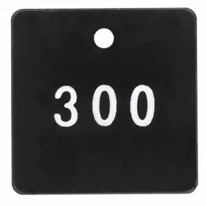 GRAINGER 22CN45 Numbered Tag, Plastic, 201-300, Black/White, Square, 100 PK | CQ3ABB