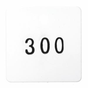 GRAINGER 22CN48 Nummeriertes Etikett, Kunststoff, 201-300, Schwarz/Weiß, Quadratisch, 100 PK | CQ3ABA