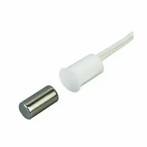 GRAINGER 2EXV2 Magnetic Contact, Recessed Mount, Normally Open, Closed, #22 AWG Lead Size | CQ2KNH