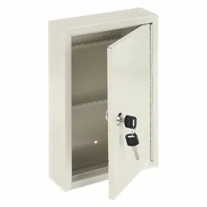 GRAINGER 2NET1 Key Control Cabinet, 30 Keys Capacity | CH6JLM