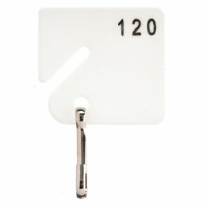 GRAINGER 33J877 Schlüsselanhänger, nummeriert von 61 bis 120, rechteckig, 1 5/8 Zoll Höhe, 1 1/2 Zoll Breite, Weiß | CQ4CKU