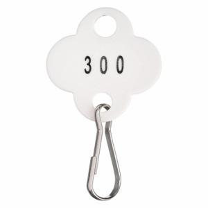 GRAINGER 33J881 Schlüsselanhänger mit den Nummern 201 bis 300, Kleeblatt, 1 3/8 Zoll Höhe, 1 1/8 Zoll Breite, Weiß | CQ4CKQ