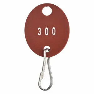 GRAINGER 33J885 Key Tag Numbered 201 to 300, Oval, 1 3/8 Inch Height, 1 1/8 Inch Width, Red, 100 PK | CQ4CKP