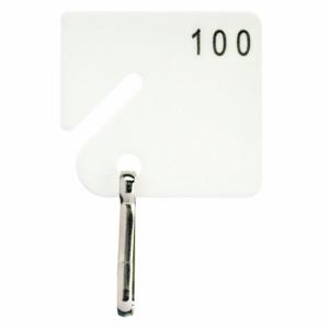 GRAINGER 33J887 Schlüsselanhänger, nummeriert von 1 bis 100, quadratisch geschlitzt, 1 5/8 Zoll Höhe, 1 1/2 Zoll Breite, Weiß | CQ4CKE