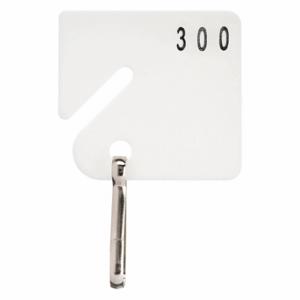 GRAINGER 33J889 Key Tag Numbered 201 to 300, Square-Slotted, 1 5/8 Inch Height, 1 1/2 Inch Width | CQ4CKR
