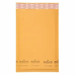 GRAINGER 36DY91 Mailer Envelopes, 6 1/2 Inch Size x 10 in, 6 1/4 Inch Size x 9 in, #0, Kraft, 250 PK | CP7ZEL