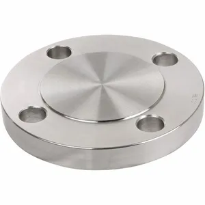 GRAINGER 4381000030 Pipe Flange, Blind Flange, 304/304L Stainless Steel, 1 1/4 Inch Size Pipe Size, Class 150 | CQ6JDD 60WJ73