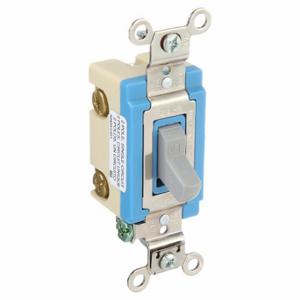 GRAINGER 4802GRY Wall Switch, Toggle Switch, Double Pole, Gray, 15 A, Screw Terminals, Screw Terminals | CP9EFL 52HE48