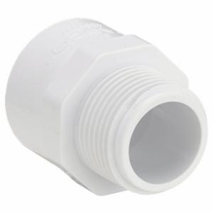 GRAINGER 48483 Male Adapter, 3/4 Inch X 1/2 Inch Fitting Pipe Size | CQ3ZZW 447N73