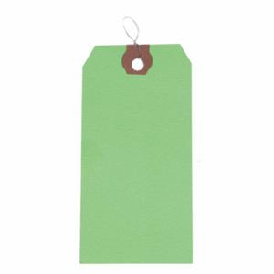 GRAINGER 1HAA1 Blank Shipping Tag, #8, 6 1/4 Inch Tag Height, 3 1/8 Inch Tag Width, 13 Points | CP7RJY