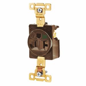 GRAINGER 5361WR Receptacle, Single, 5-20R, 20 A, 125V AC, Brown, 2 Poles, Screw Terminals | CP8XXQ 52HC67