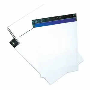 GRAINGER 56KJ38 Mailer Envelopes, 24 Inch Size x 24 in, 24 Inch Size x 24 in, With Tear Strip, 125 PK | CQ7FVP