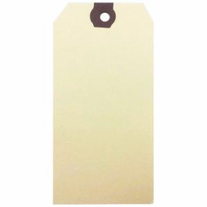 GRAINGER 61KT24 Blank Shipping Tag, #1, 2 3/4 Inch Tag Height, 1 3/8 Inch Tag Width, 13 Points, Manila | CP7QYX