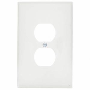 GRAINGER 62031 Duplex Receptacle Wall Plate, Duplex Outlet, Plastic, White | CP9ECM 492P57