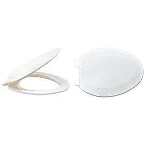 GRAINGER 65903 Toilet Seat, White, Plastic, Self-Sustaining Check Hinge, 1 Inch Seat Height | CJ3QPJ 447N08