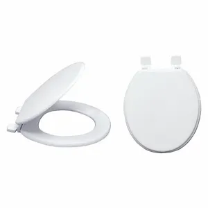 GRAINGER 65905 Toilet Seat, White, Plastic, Self-Sustaining Check Hinge, 1 3/4 Inch Seat Height | CJ3QPL 447N09